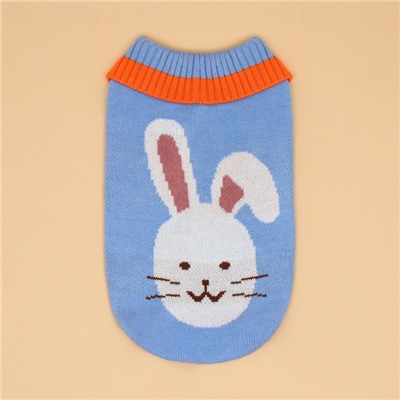 Свитер для животных «Зайка», размер L, ДС 29, ОШ 29, ОГ 29-49 см, голубой