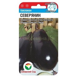Баклажан Северянин (Сиб сад)