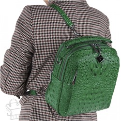 Рюкзак женский 69123-1 green Velina Fabbiano-Safenta/50