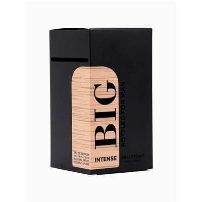Парфюмерная вода мужская BIG BOTTLED FOR MAN INTENSE, 100 мл (мот HUGO BOSS Boss The Scent)
