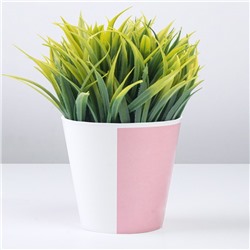 Кашпо для цветов «Цвет», 800 мл, d=12 см, h=11 см, пластиковое