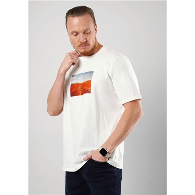 Футболка мужская