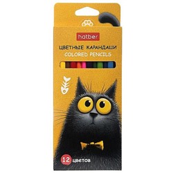 Карандаши 12цв "Пушистый философ" трехгранные (094019) Хатбер