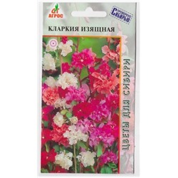 Кларкия Изящная смесь (Код: 7015)