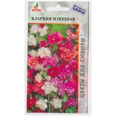 Кларкия Изящная смесь (Код: 7015)