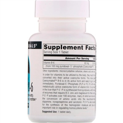 Source Naturals, Ферментированный витамин B6, 100 мг, 60 таблеток