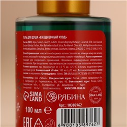 Подарочный набор новогодний женский «Зимнее чудо»: гель для душа и пена для ванны, 2×100 мл, URAL LAB