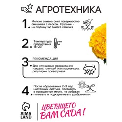 Семена цветов Бархатцы прямостоячие «Лимонное чудо», 0.3 г