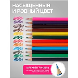 Карандаши Calligrata «Принцесса», цветные, 12 цветов, деревянные, трёхгранные