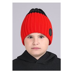 Шапка CLEVER, 1040987