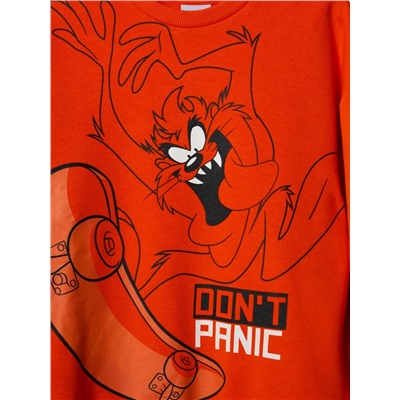 PLAYTODAY Толстовка 12611163