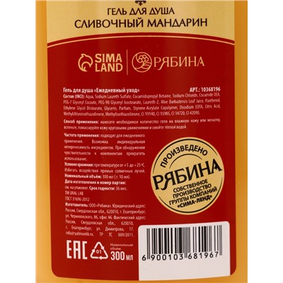 Подарочный набор новогодний «Уютные мгновения», гель для душа 300 мл и лосьон для тела 85 мл, URAL LAB