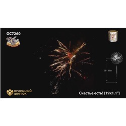 Фейерверк ОС7260 Счастье есть! (1,1" х 19)