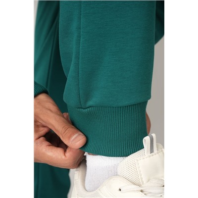 Мужской спортивный костюм из футера трехнитки Happyfox