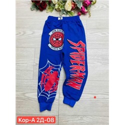 Спортивные брюки #22452482