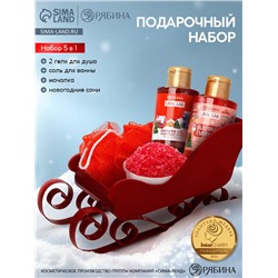 Подарочный набор новогодний в санях: 2 геля для душа, соль для ванны и мочалка, URAL LAB