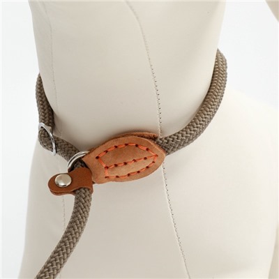 Ринговка для собак, 150×0.6 см, бежевая