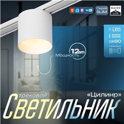 Светильник трековый BayerLux SLIM «Цилинр», LED, 12 Вт, 3000K-6000К, 48 В, CRI90, 8×8×7.5 см, белый