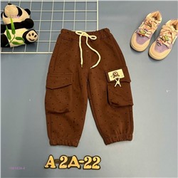 штаны 1981424-4