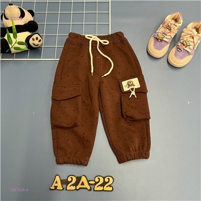 штаны 1981424-4