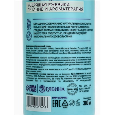 Гель для душа женский, 300 мл, аромат бодрящей ежевики, URAL LAB