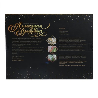 Алмазная мозаика на подрамнике 30×40 с полным заполнением «Балерина»