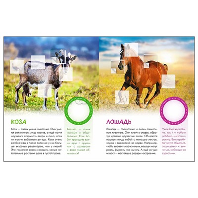 Мир животных с наклейками. Кто живёт в деревне?