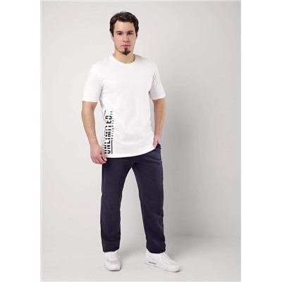 Брюки мужские