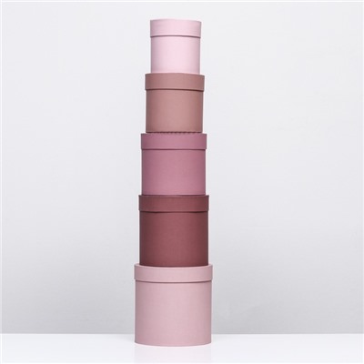 Набор круглых подарочных коробок 5 в 1 «Кофе с молоком», 20×20 ‒ 14×14 см