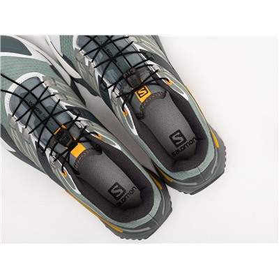 Кроссовки Salomon Wings Sky