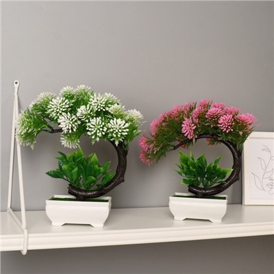 Бонсай искусственный в горшке «Селагинелла африканская», 10×20 см, МИКС