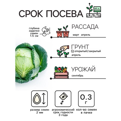 Семена Капуста белокочанная «Зимовка 1474», 0.1 г