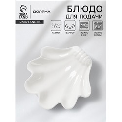 Блюдо для подачи ракушка Доляна White Label, 21.5×21×5.5 см, фарфор, белое