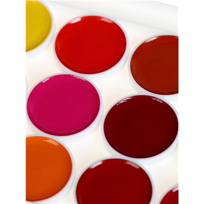 Акварель «Луч. ZOO», 24 цвета, без кисти