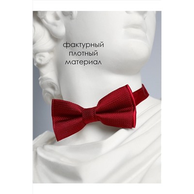 Бабочка СОЛЬ&ПЕРЕЦ, 972256