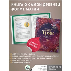 АСТ Патти Вигингтон "Магический мир трав. Рецепты и ритуалы для жизни"