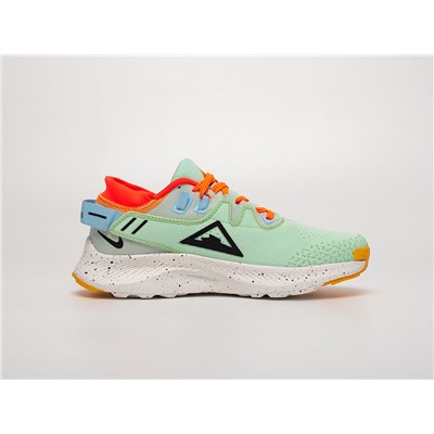 Кроссовки Nike Pegasus Trail 2