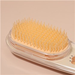 Расчёска - шейкер LOOK, 6.1×18(±1) см, МИКС