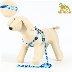 Шлейка с поводком «Камуфляж», ширина 1 см, шлейка 21-35 см, поводок 120 см, капрон, синяя, голубая