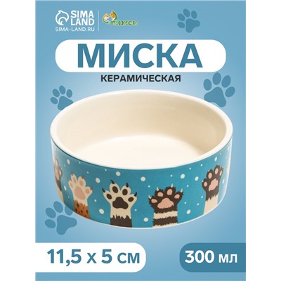 Миска керамическая «Лапы» 300 мл - 11.5×11.5×5 см, белая/синяя