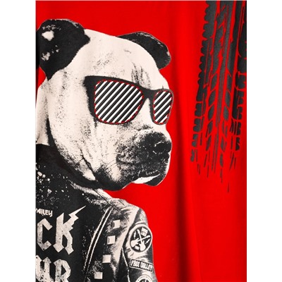 PLAYTODAY Фуфайка 12611037