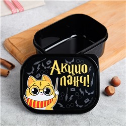 Ланч - бокс прямоугольный «Акцио ланч», 500 мл
