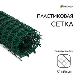 Сетка садовая, 1×10 м, ячейка квадрат 50×50 мм, пластиковая, зелёная, Greengo, в рулоне