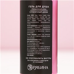 Подарочный набор новогодний «Сладкого праздника», гель для душа, пена для ванны, 2×100 мл, Чистое счастье