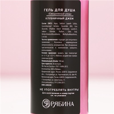 Подарочный набор новогодний «Сладкого праздника», гель для душа, пена для ванны, 2×100 мл, Чистое счастье