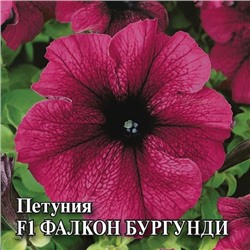 Петуния Фалкон Бургунди F1  (100 шт) (Код: 93396)