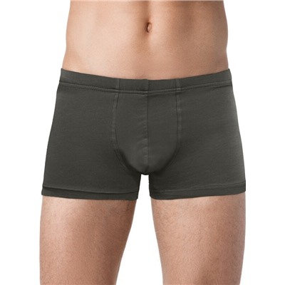 ALFA Трусы мужские 6200 BOXER BRIEFS
