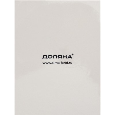 Набор тарелок Доляна Nature, 4 шт., d=27 см, керамика, голубые