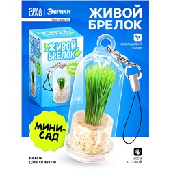 Набор для опыта «Живой брелок», мини-сад, выращивание травы