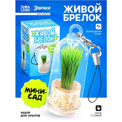 Набор для опыта «Живой брелок», мини-сад, выращивание травы